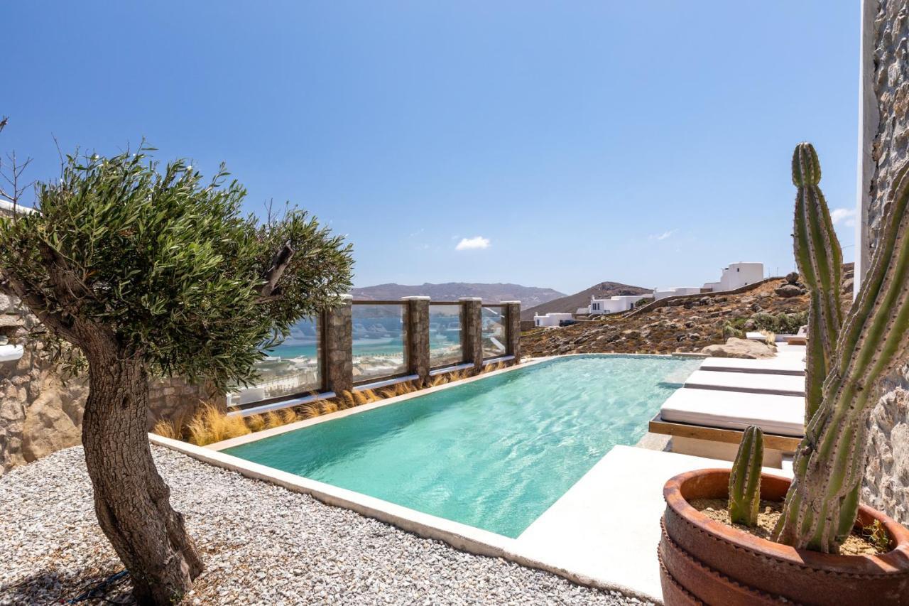Mykonos Panormos Villas Extérieur photo